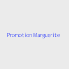 Agence immobiliere Promotion Marguerite 